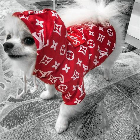 louis vuitton supreme dog clothes|faux Louis Vuitton dog carriers.